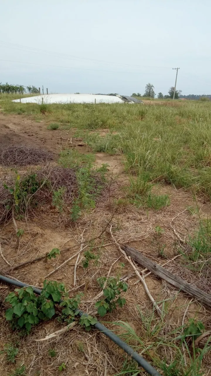 Fazenda à venda de 8 ha em Cesário Lange, SP, Brasil