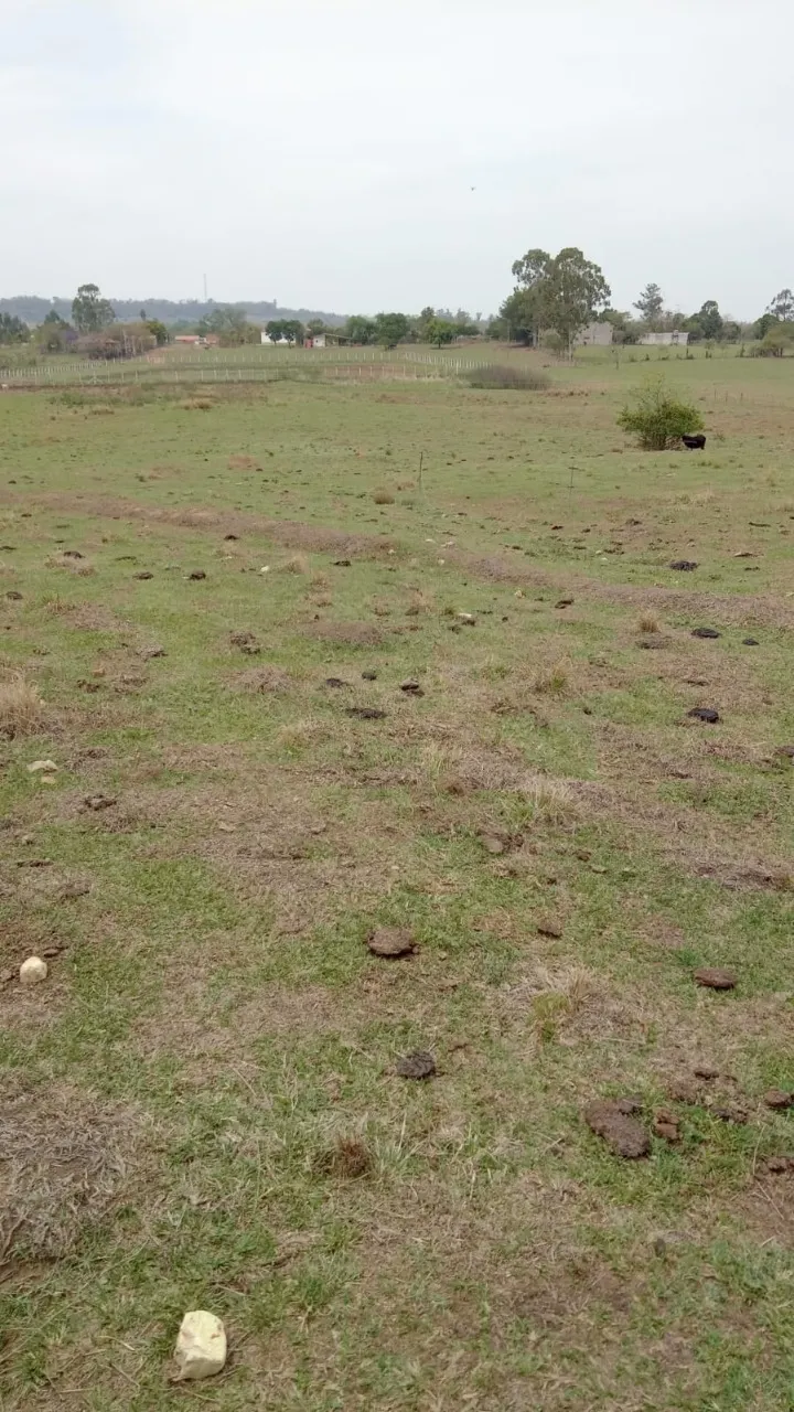 Fazenda à venda de 8 ha em Cesário Lange, SP, Brasil