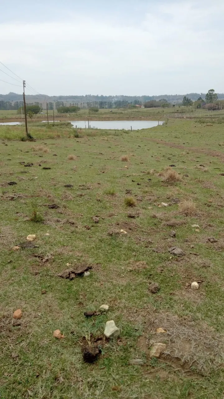 Fazenda à venda de 8 ha em Cesário Lange, SP, Brasil