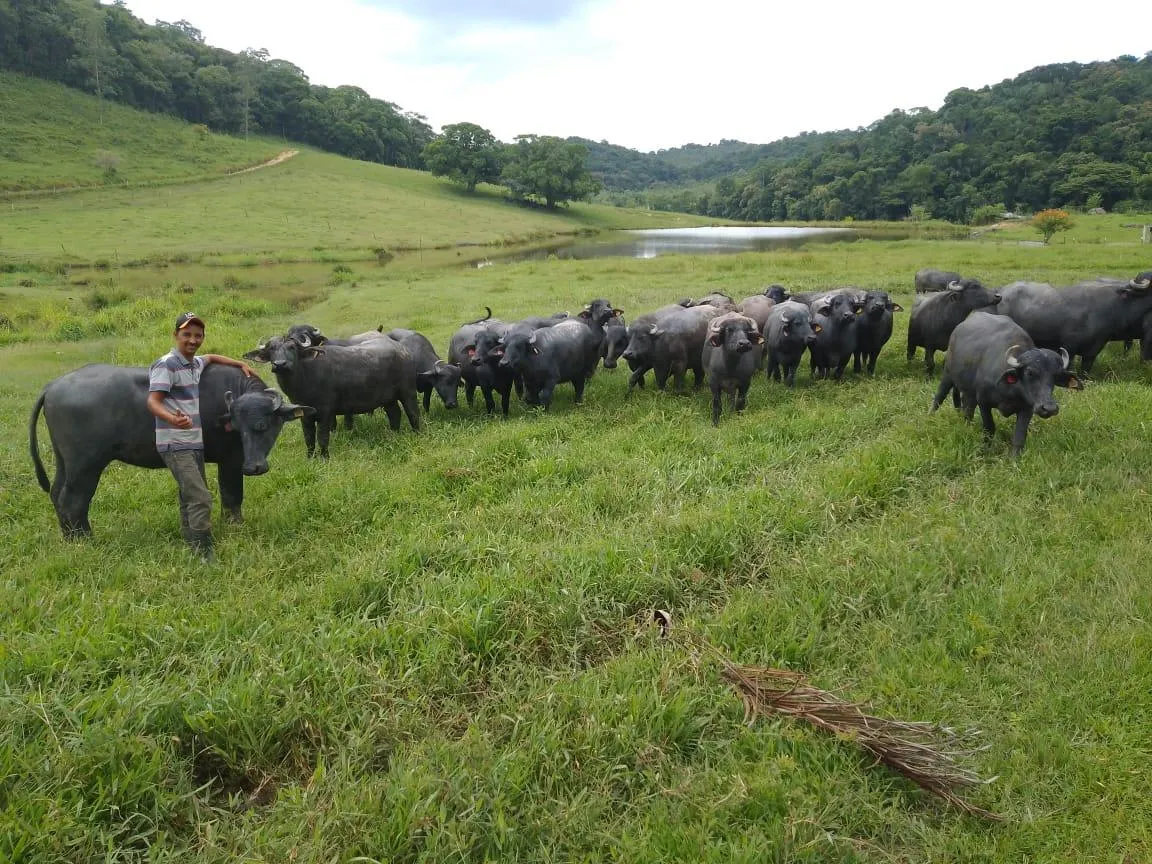 Fazenda à venda de 100 ha em Juquitiba, SP, Brasil