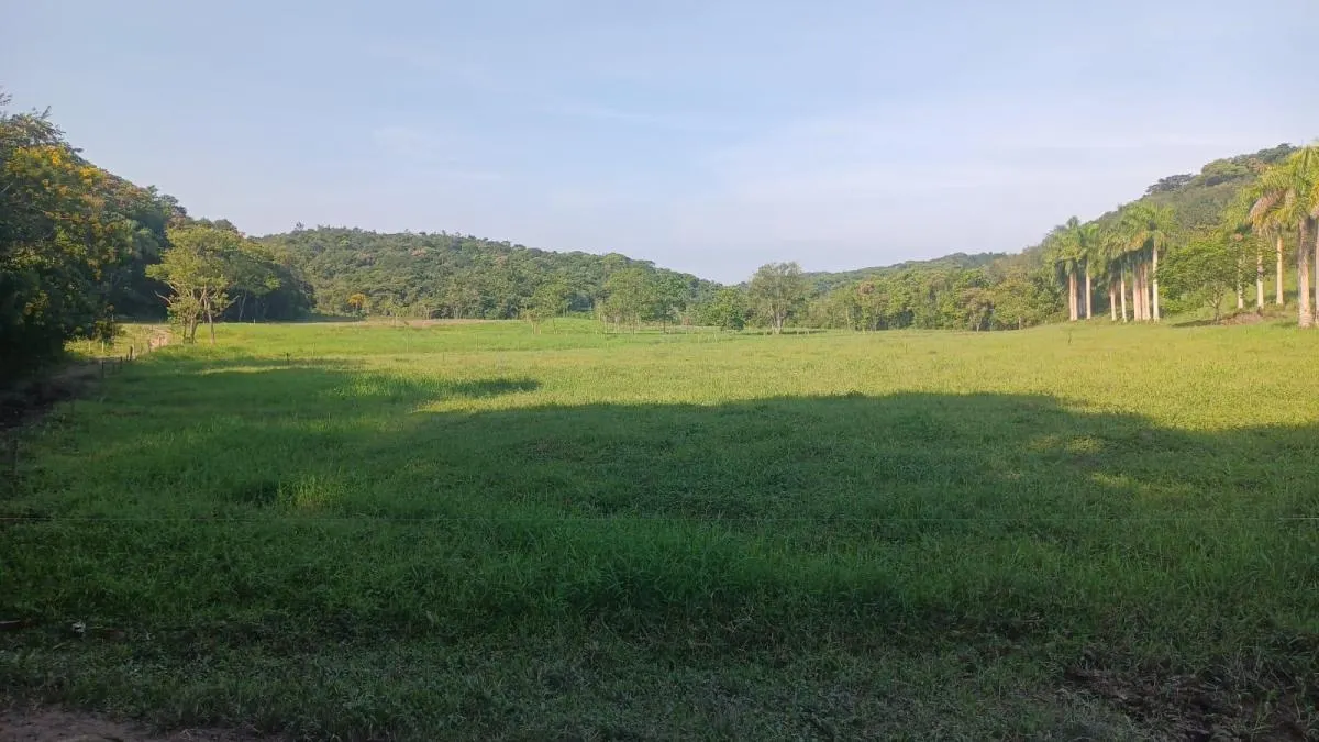 Fazenda à venda de 100 ha em Juquitiba, SP, Brasil