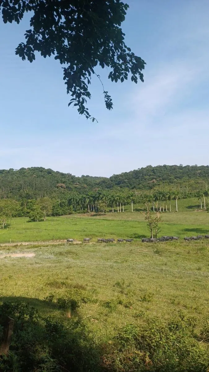 Fazenda à venda de 100 ha em Juquitiba, SP, Brasil