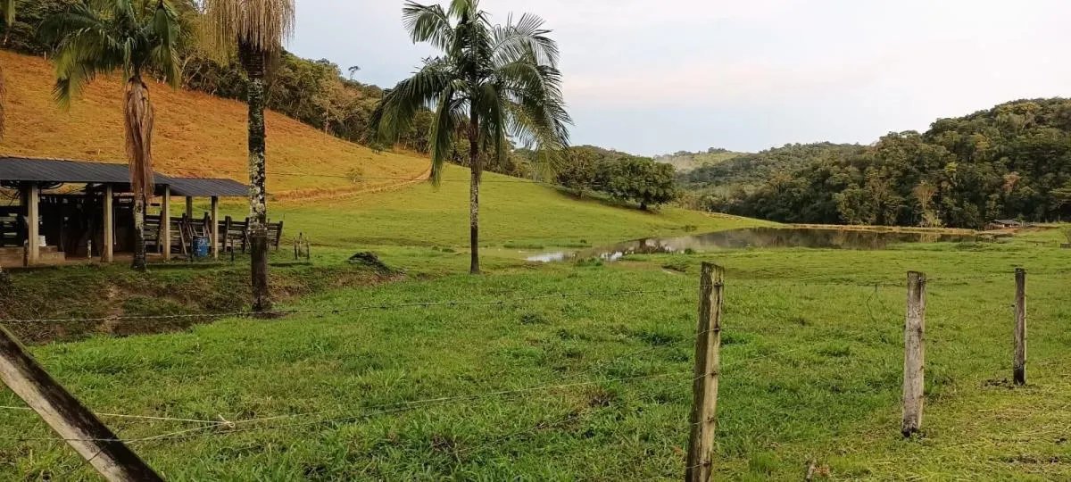 Fazenda à venda de 100 ha em Juquitiba, SP, Brasil