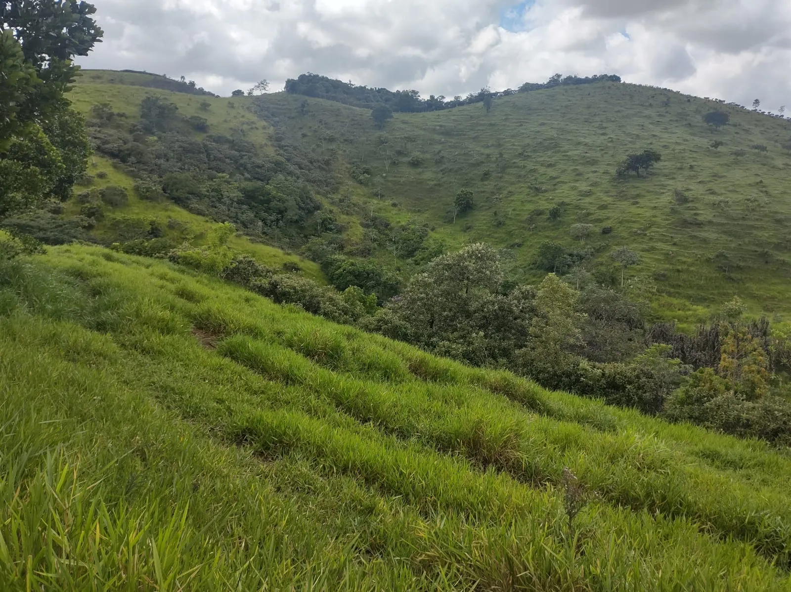 Plot for sale of 6 acres in São José dos Campos, SP, Brazil