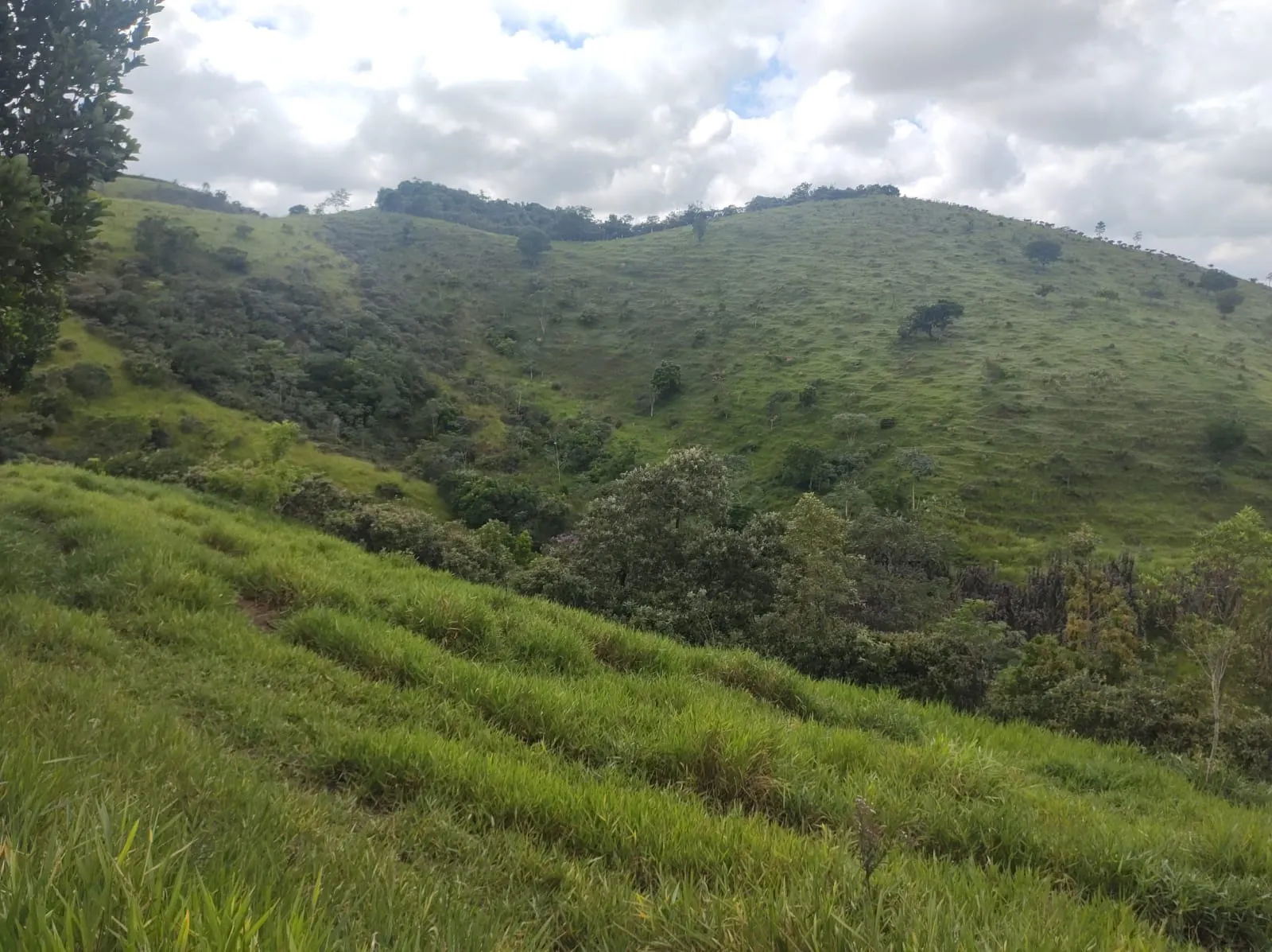 Plot for sale of 6 acres in São José dos Campos, SP, Brazil