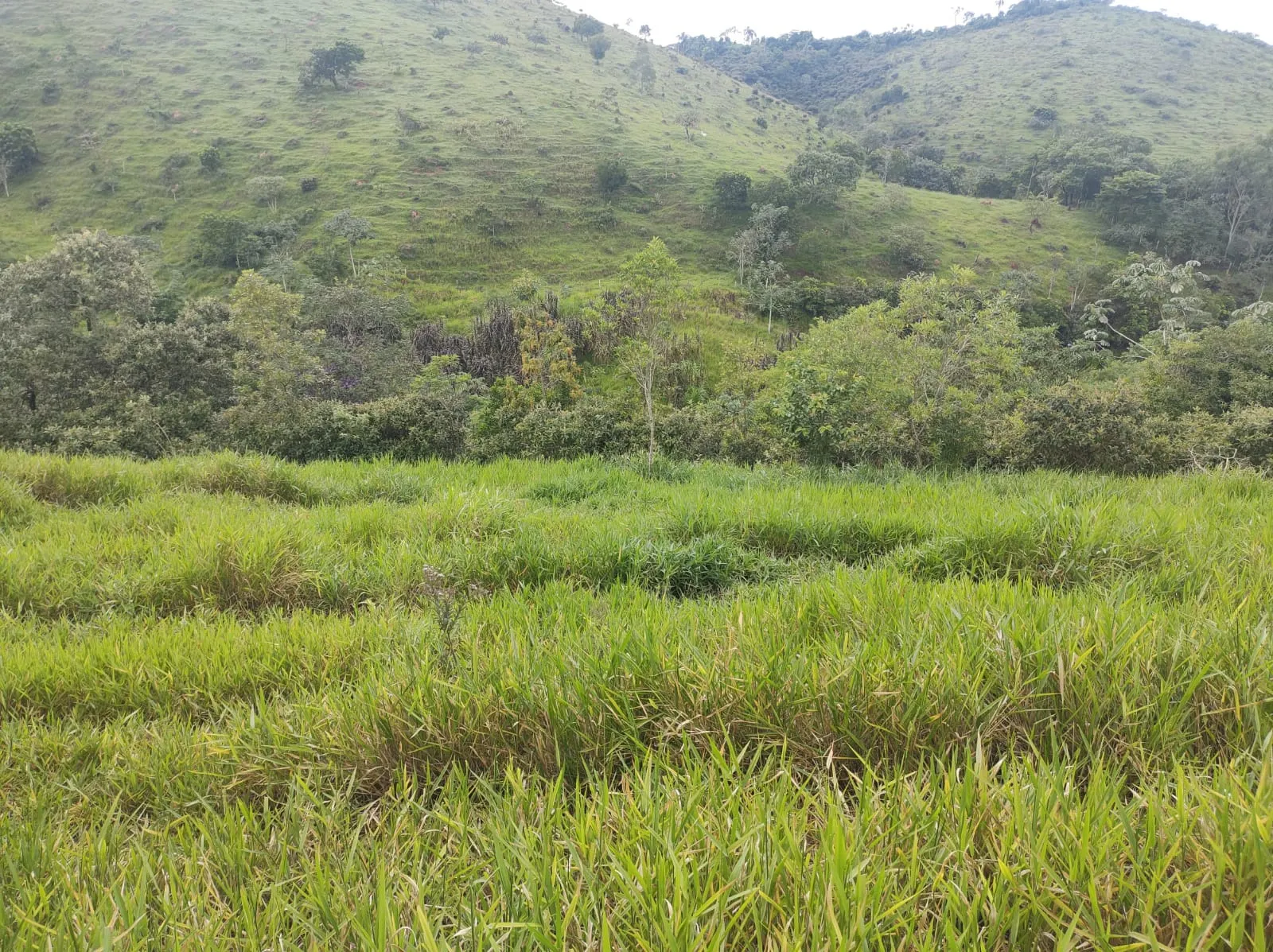 Plot for sale of 6 acres in São José dos Campos, SP, Brazil