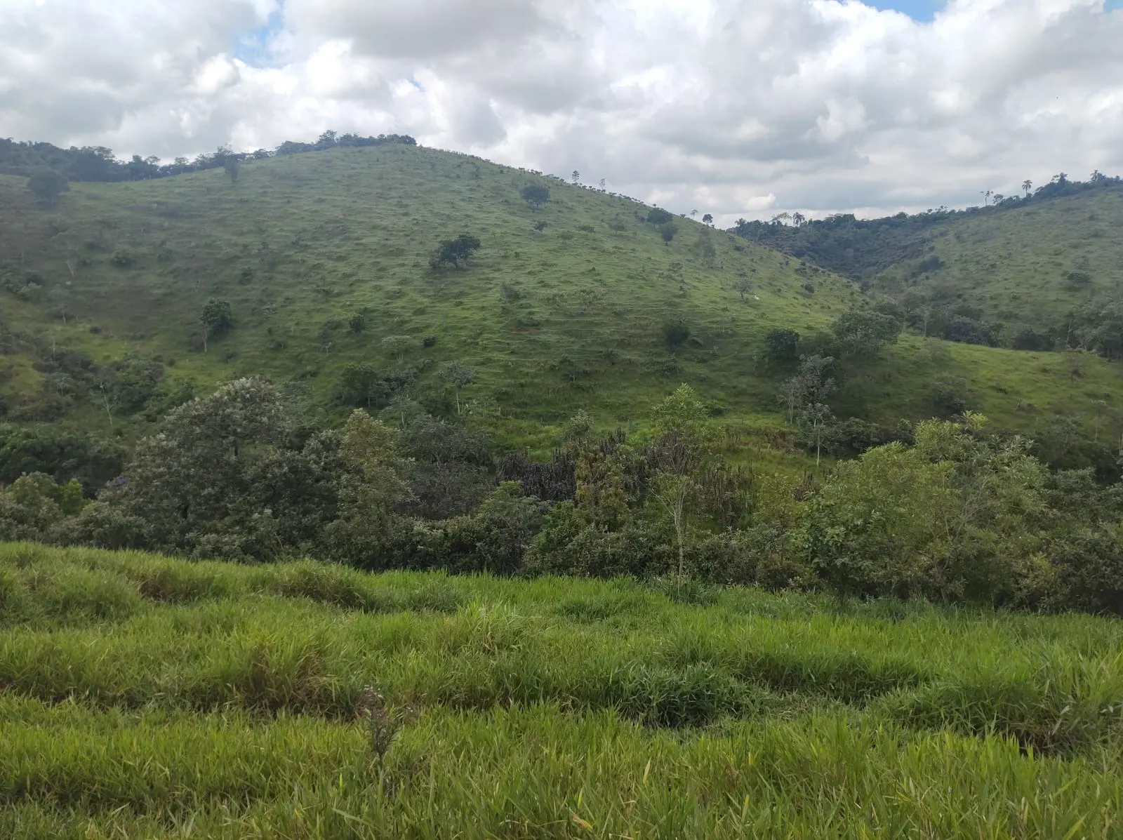 Plot for sale of 6 acres in São José dos Campos, SP, Brazil