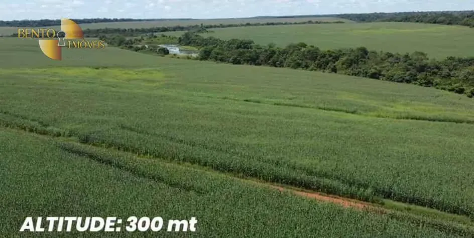 Fazenda à venda de 2.000 ha em Juara, MT, Brasil