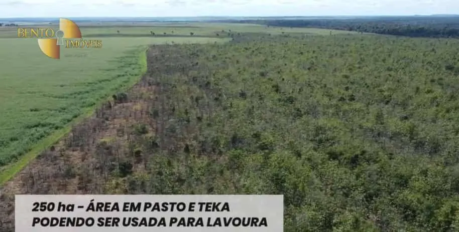 Fazenda à venda de 2.000 ha em Juara, MT, Brasil