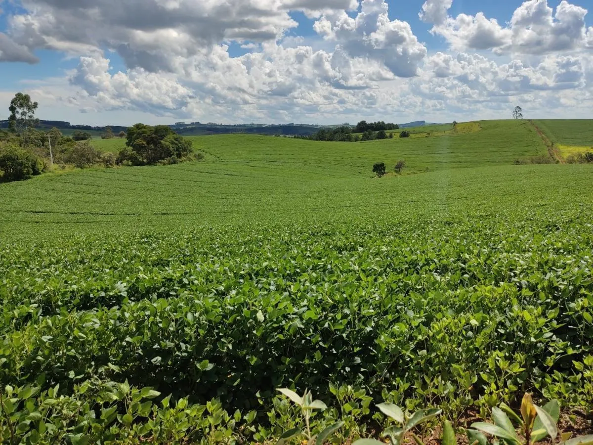 Small farm for sale of 74 acres in São Miguel Arcanjo, SP, Brazil