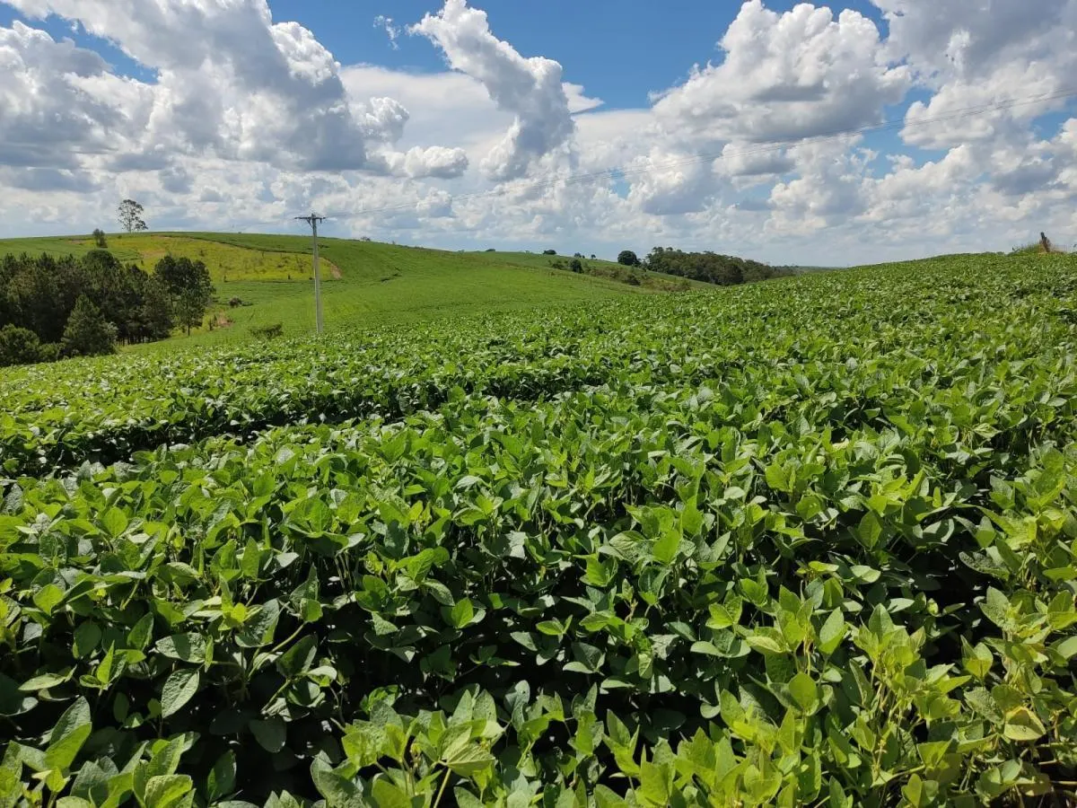 Sítio à venda de 30 ha em São Miguel Arcanjo, SP, Brasil
