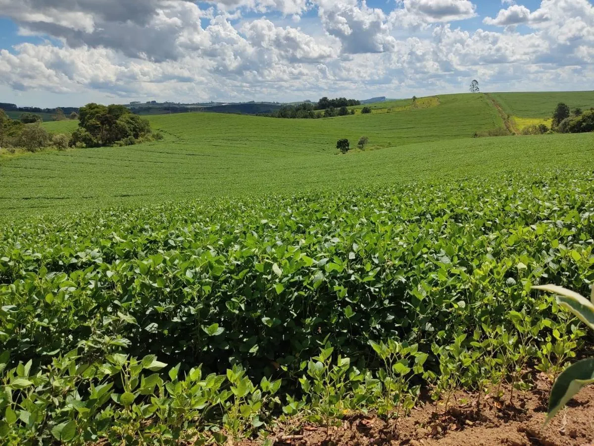 Sítio à venda de 30 ha em São Miguel Arcanjo, SP, Brasil