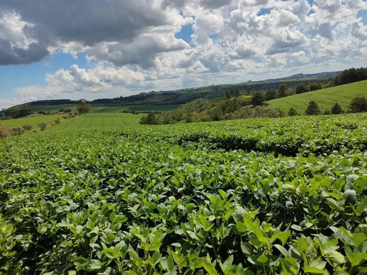 Sítio à venda de 30 ha em São Miguel Arcanjo, SP, Brasil