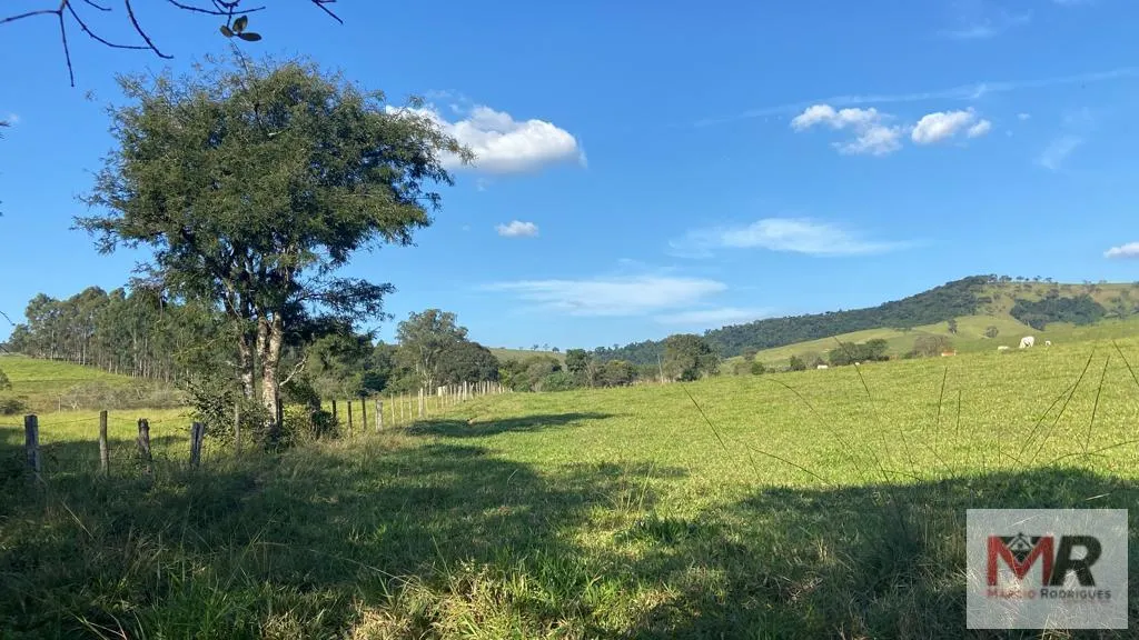 Plot for sale of 24 acres in Cambuí, MG, Brazil