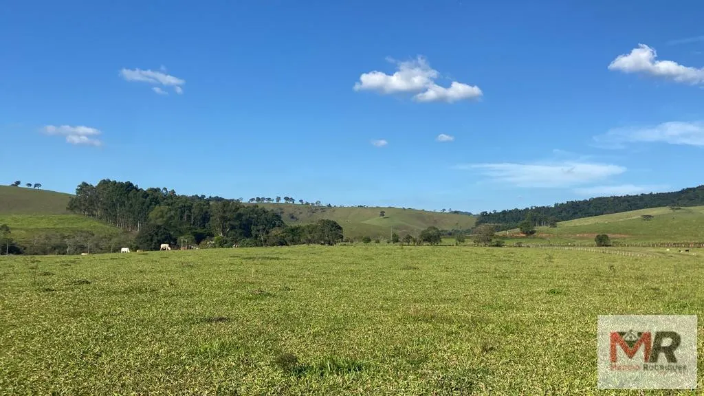 Terreno à venda de 10 ha em Cambuí, MG, Brasil
