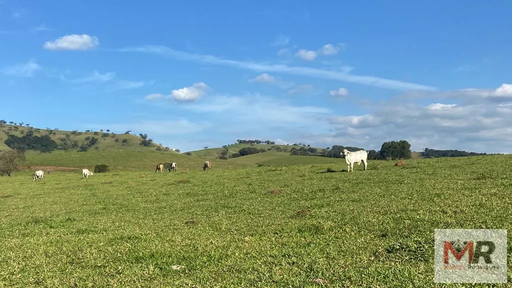 Plot for sale of 24 acres in Cambuí, MG, Brazil