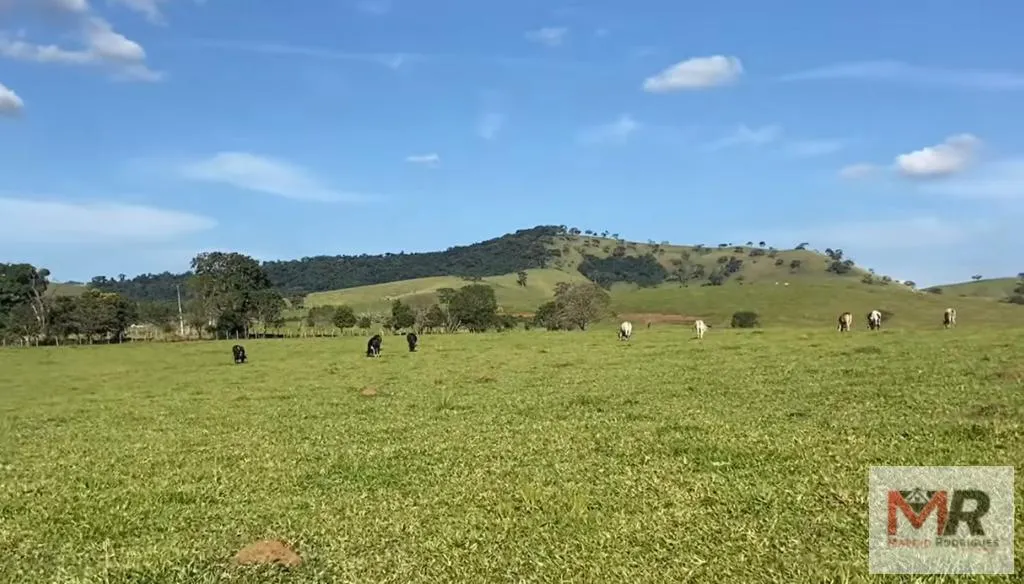 Plot for sale of 24 acres in Cambuí, MG, Brazil