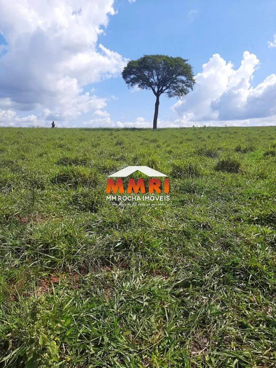 Fazenda à venda de 206 ha em Avaré, SP, Brasil