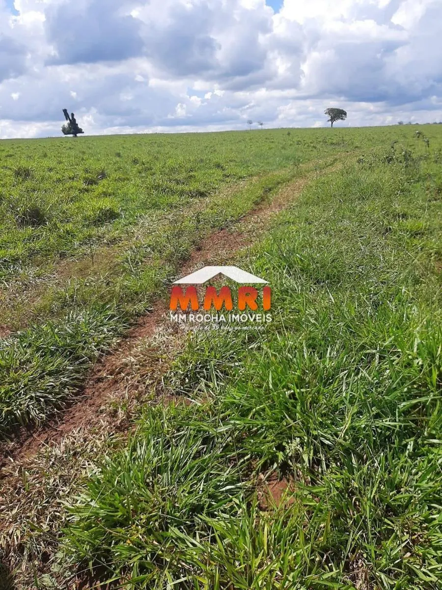 Fazenda à venda de 206 ha em Avaré, SP, Brasil