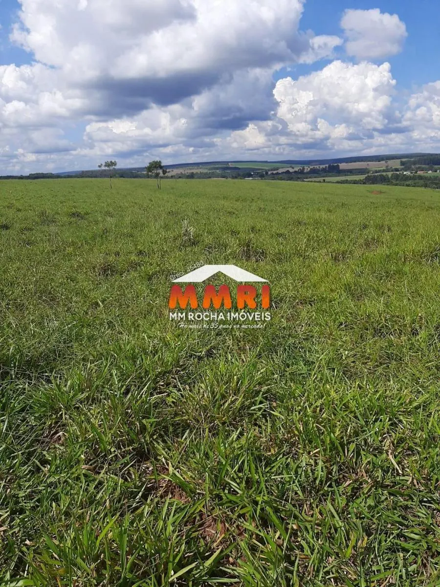 Fazenda à venda de 206 ha em Avaré, SP, Brasil