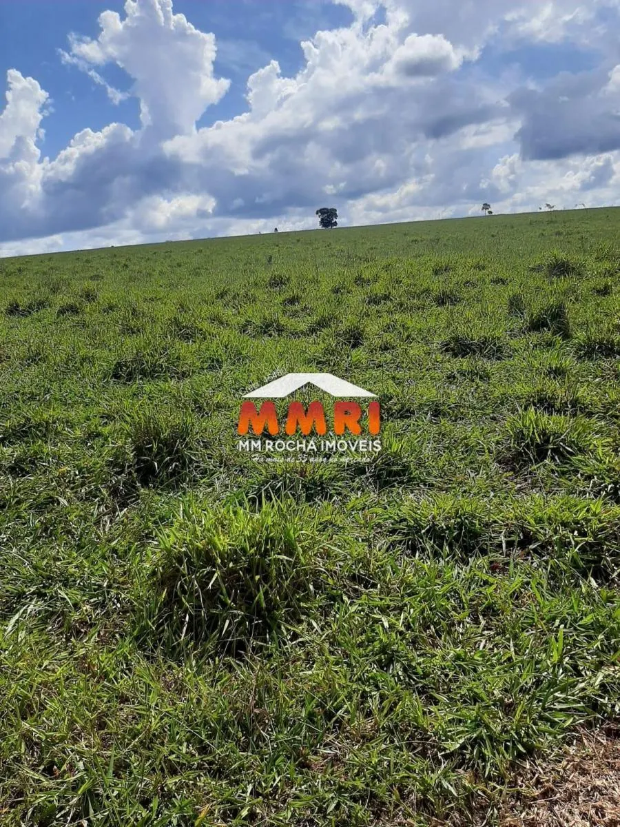 Fazenda à venda de 206 ha em Avaré, SP, Brasil