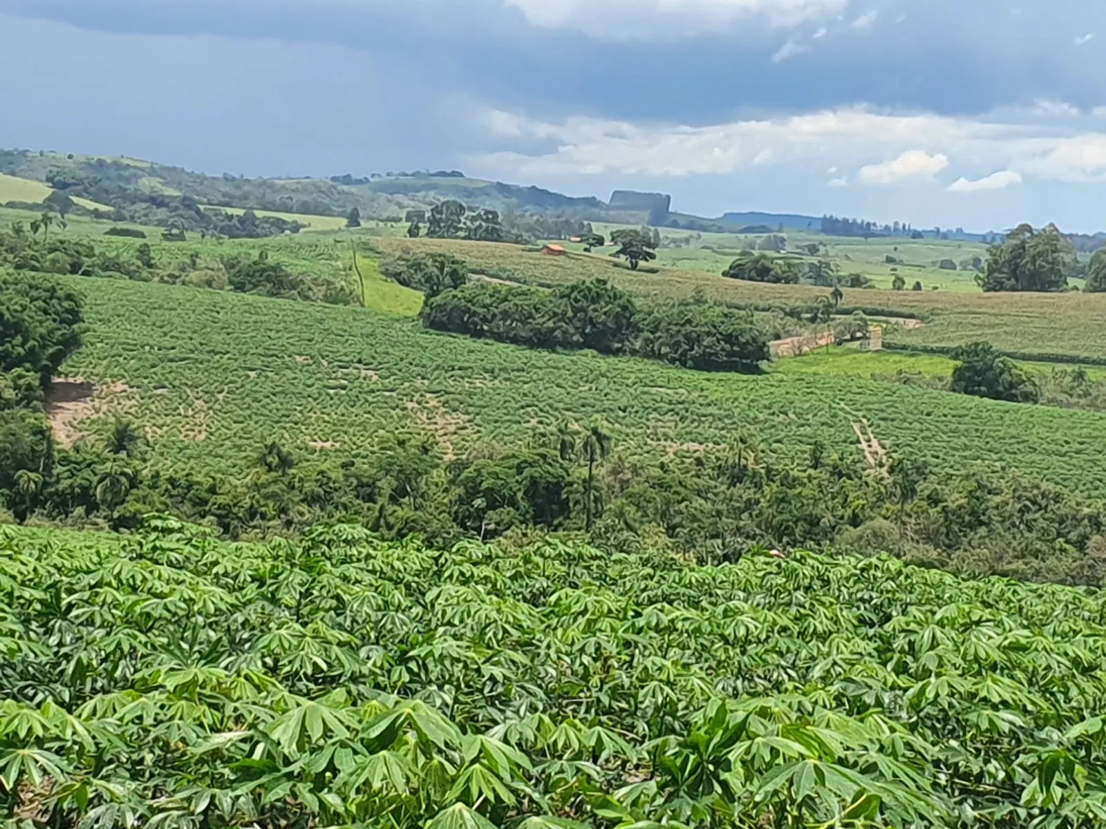 Fazenda à venda e para Arrendar de 303 ha em Bofete, SP, Brasil