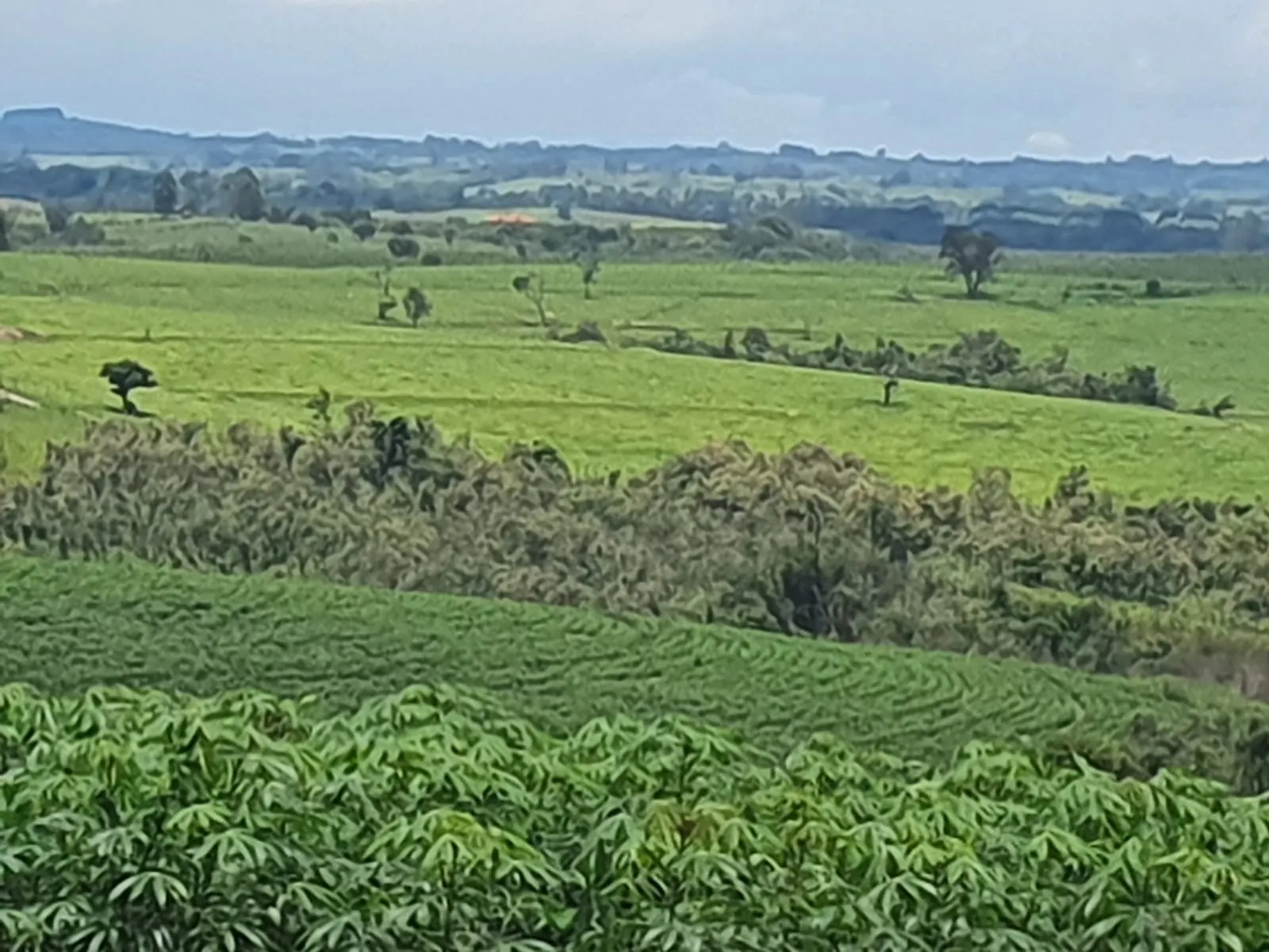 Fazenda à venda e para Arrendar de 303 ha em Bofete, SP, Brasil