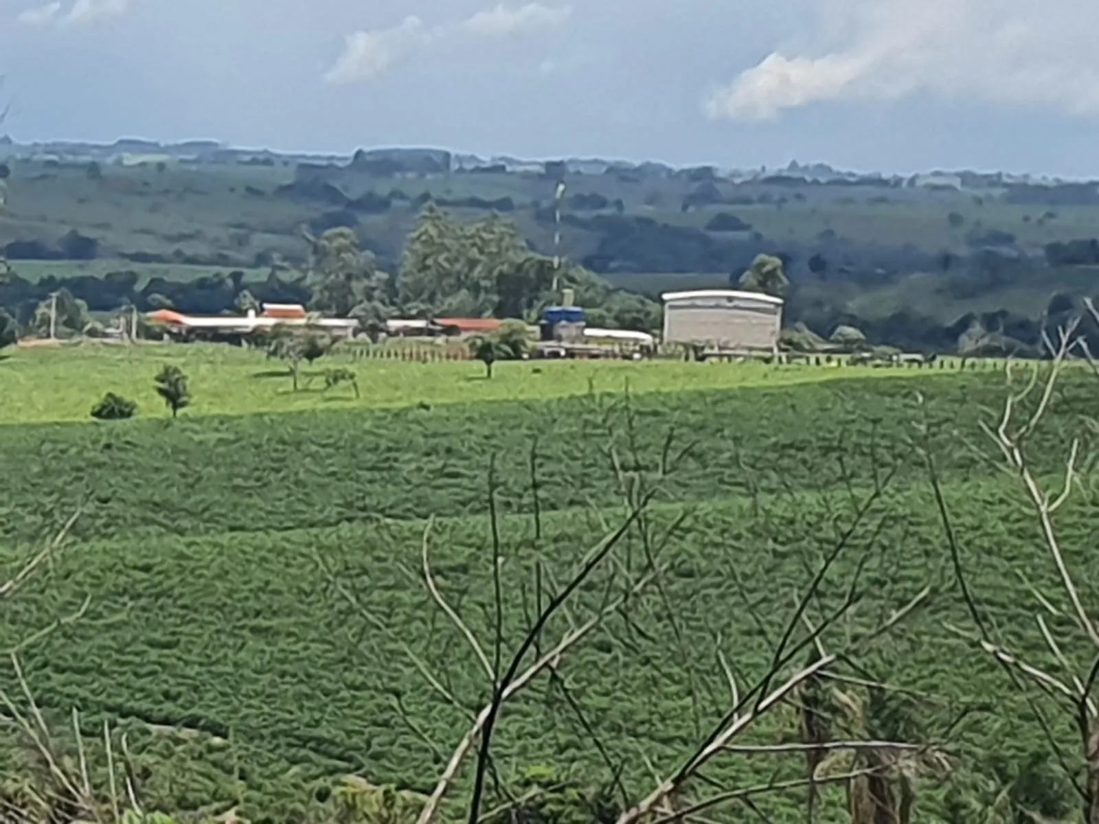 Fazenda à venda e para Arrendar de 303 ha em Bofete, SP, Brasil