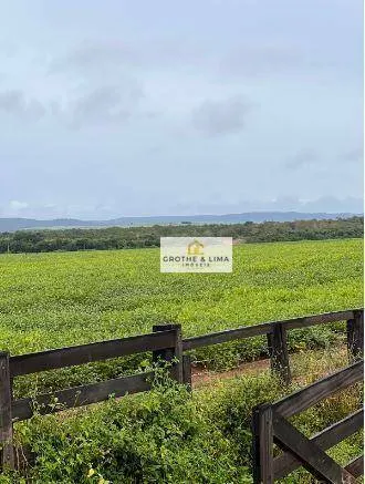 Fazenda à venda e para Arrendar de 1.034 ha em Canarana, MT, Brasil