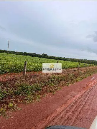 Fazenda à venda e para Arrendar de 1.034 ha em Canarana, MT, Brasil