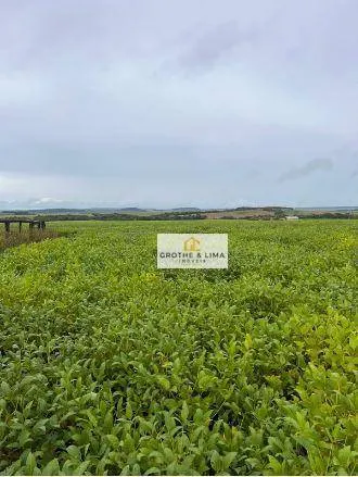 Fazenda à venda e para Arrendar de 1.034 ha em Canarana, MT, Brasil