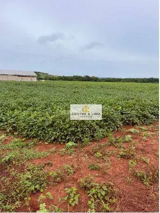 Fazenda à venda e para Arrendar de 1.034 ha em Canarana, MT, Brasil