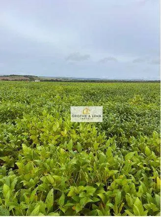 Fazenda à venda e para Arrendar de 1.034 ha em Canarana, MT, Brasil