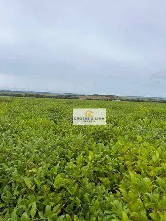 Fazenda à venda e para Arrendar de 1.034 ha em Canarana, MT, Brasil