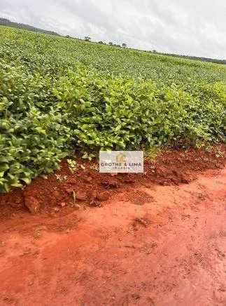 Fazenda à venda e para Arrendar de 1.034 ha em Canarana, MT, Brasil