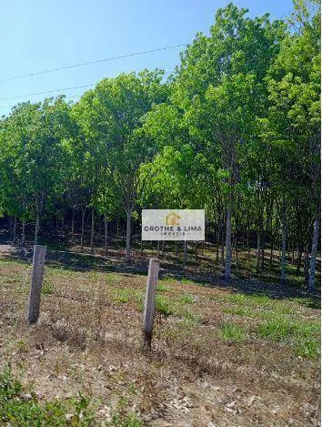 Fazenda à venda de 16.940 ha em Araguaína, TO, Brasil