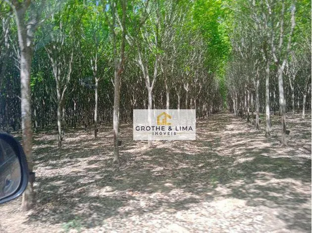 Fazenda à venda de 16.940 ha em Araguaína, TO, Brasil