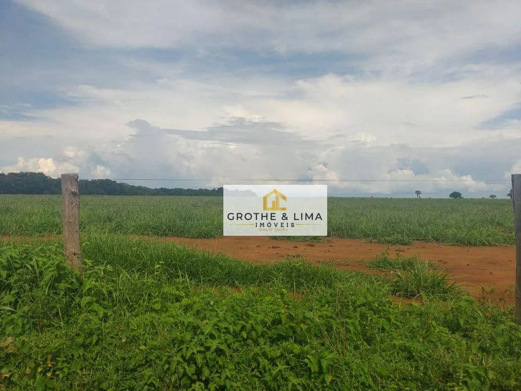 Fazenda à venda de 1.394 ha em Pium, TO, Brasil