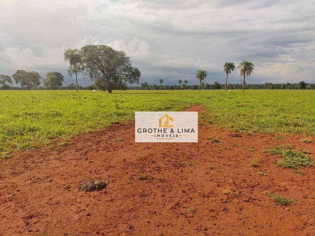 Fazenda à venda de 1.394 ha em Pium, TO, Brasil