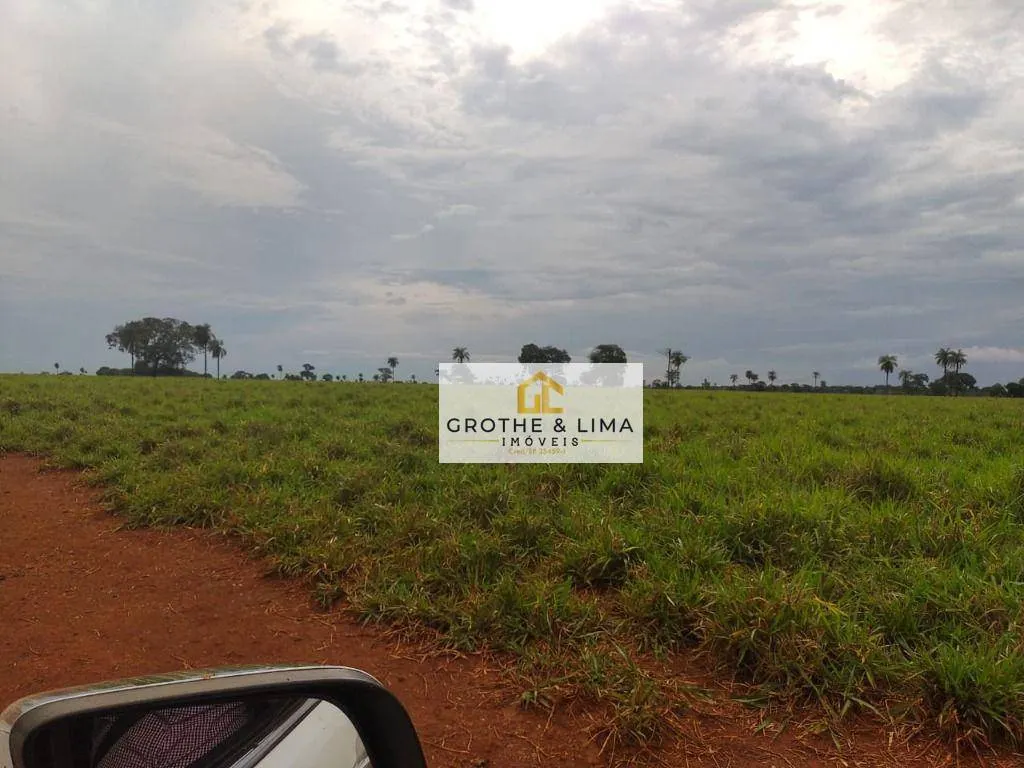 Fazenda à venda de 1.394 ha em Pium, TO, Brasil