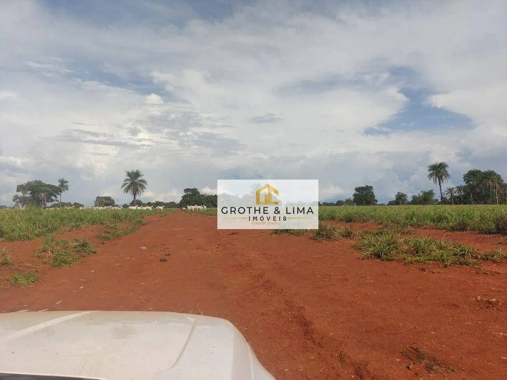 Fazenda à venda de 1.394 ha em Pium, TO, Brasil