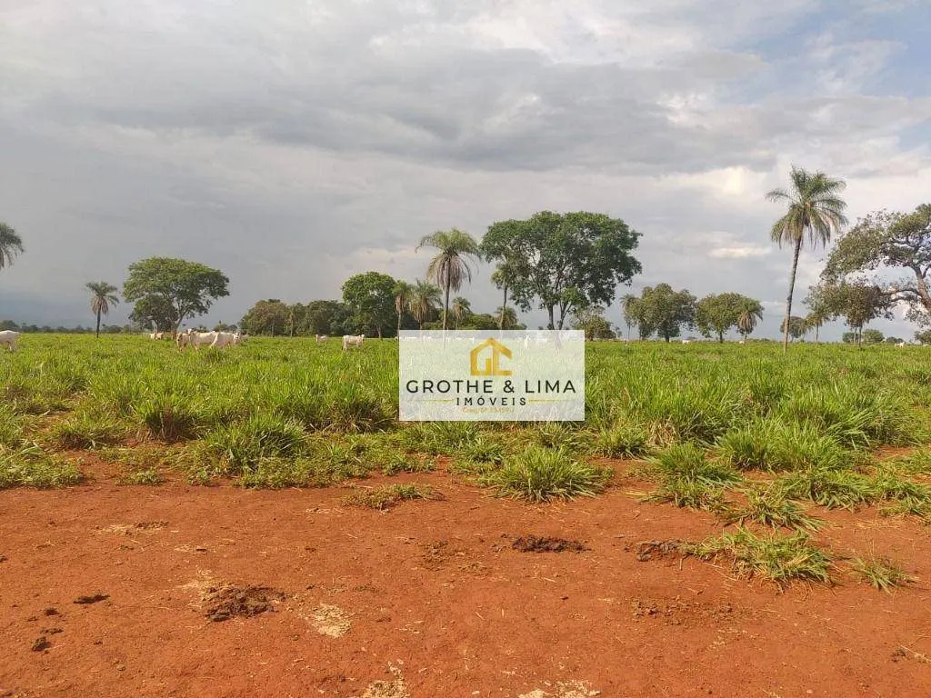 Fazenda à venda de 1.394 ha em Pium, TO, Brasil