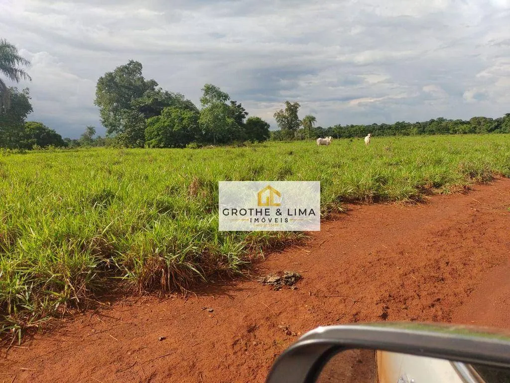 Fazenda à venda de 1.394 ha em Pium, TO, Brasil
