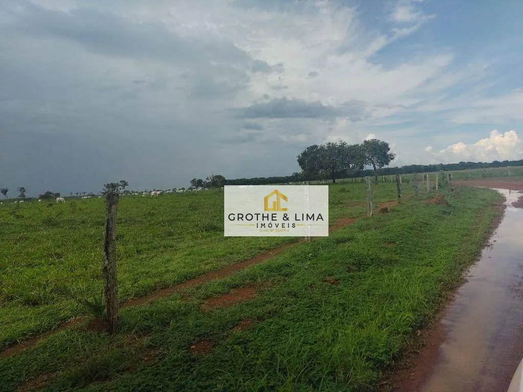 Fazenda à venda de 1.394 ha em Pium, TO, Brasil