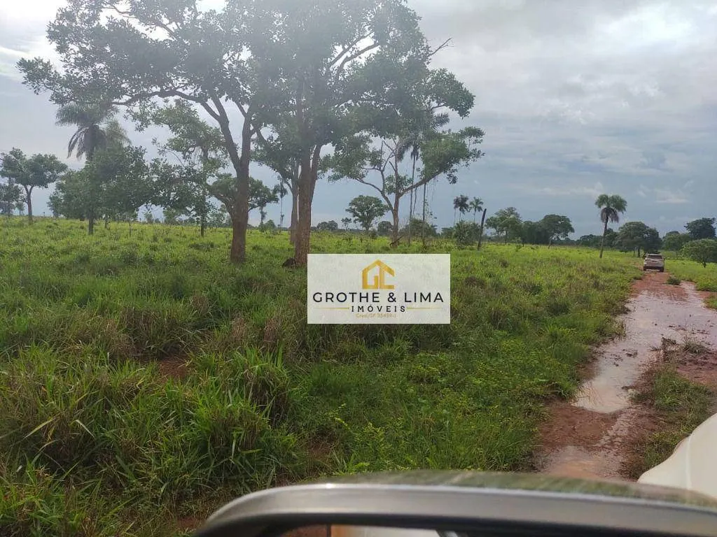 Fazenda à venda de 1.394 ha em Pium, TO, Brasil