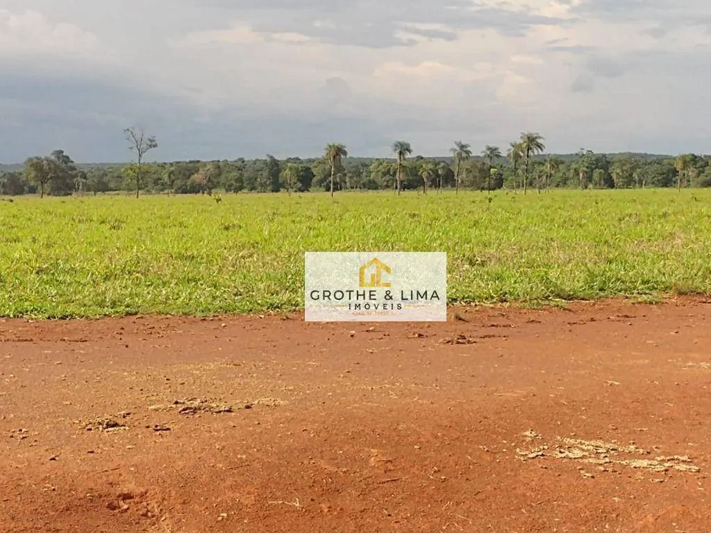 Fazenda à venda de 1.394 ha em Pium, TO, Brasil
