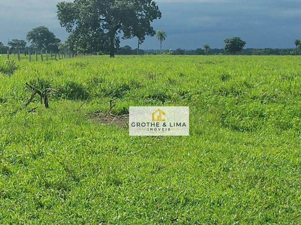 Fazenda à venda de 1.394 ha em Pium, TO, Brasil