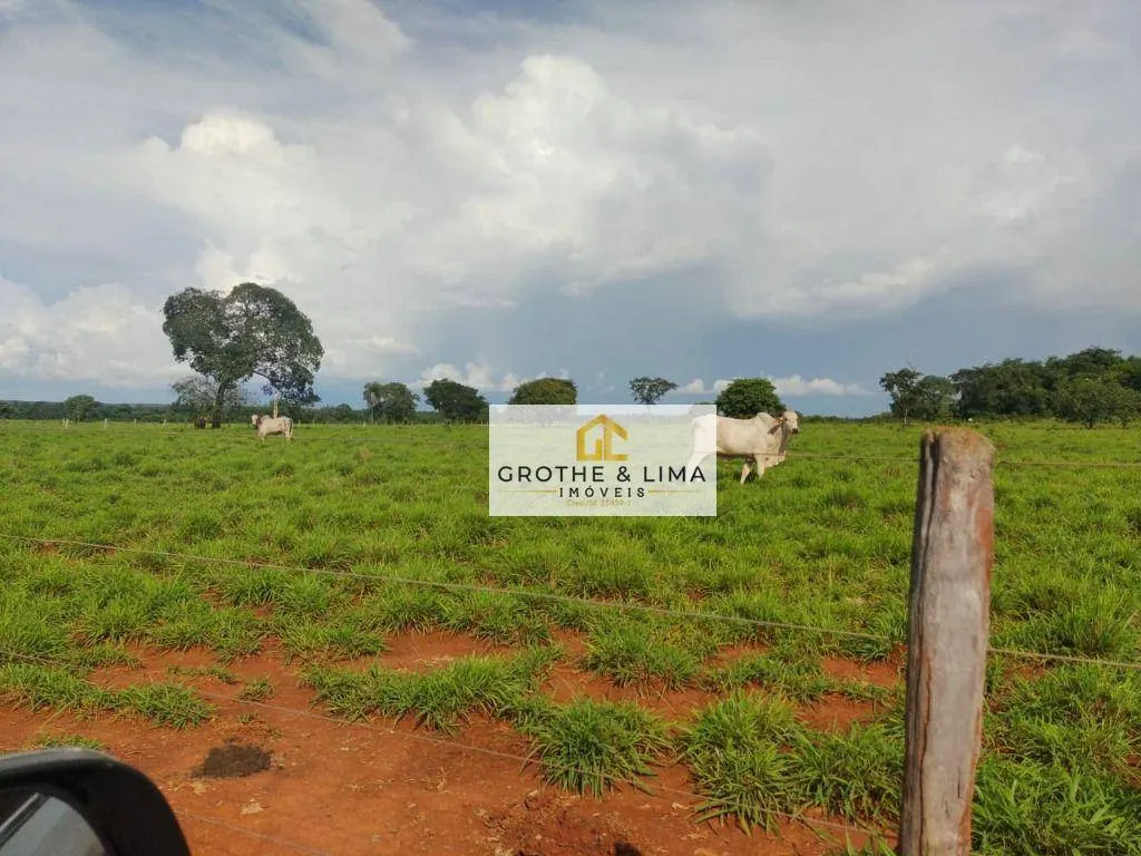 Fazenda à venda de 1.394 ha em Pium, TO, Brasil