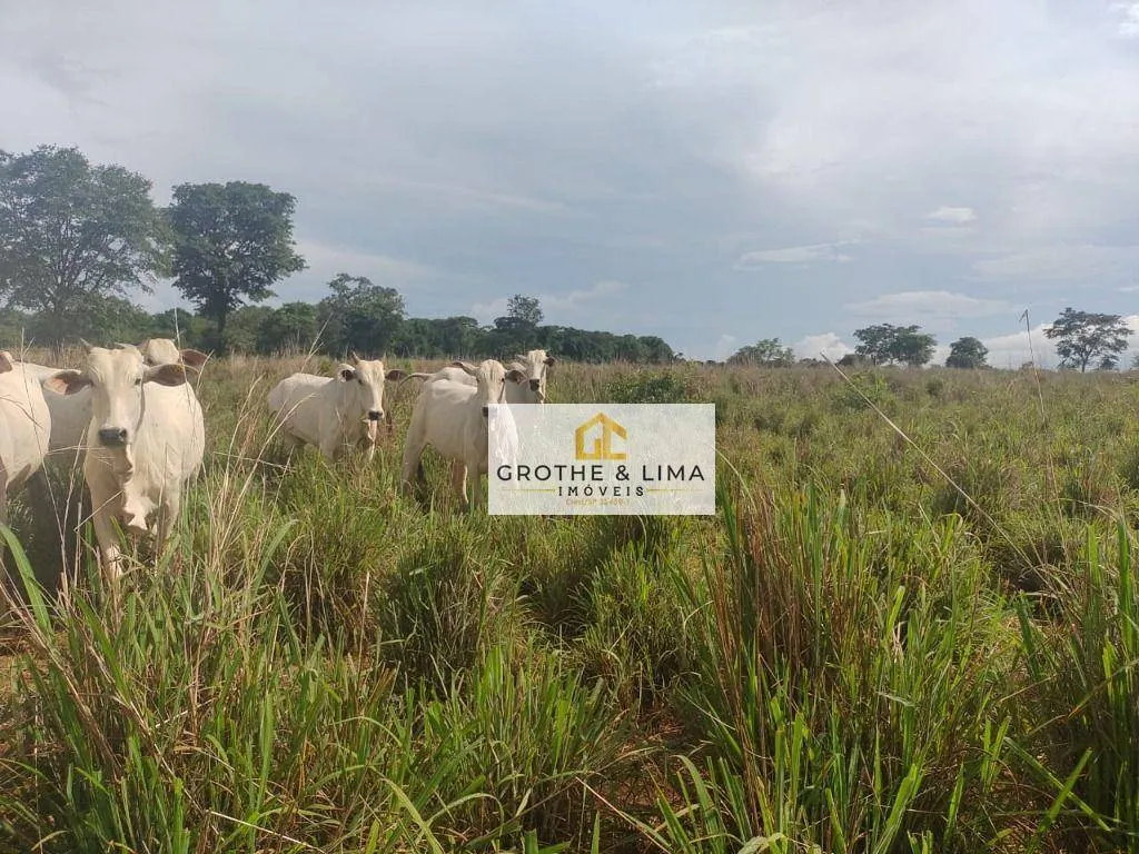 Fazenda à venda de 1.394 ha em Pium, TO, Brasil