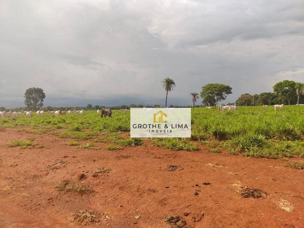 Fazenda à venda de 1.394 ha em Pium, TO, Brasil